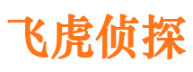 于都市侦探调查公司